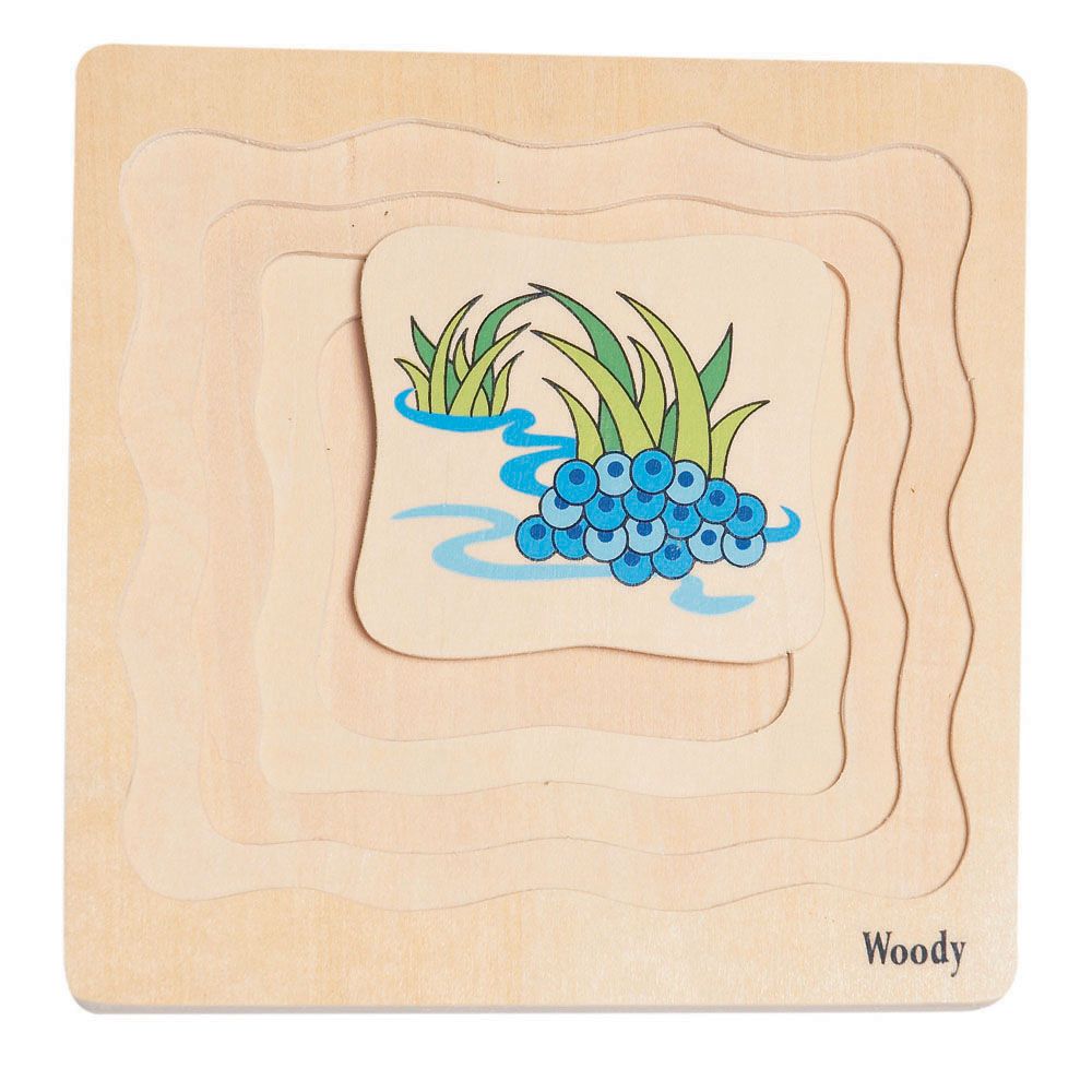 Дървен многослоен пъзел, Развитие на жабката