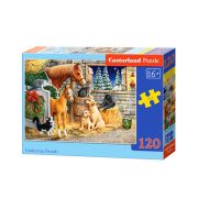 Приятели, пъзел 120 части