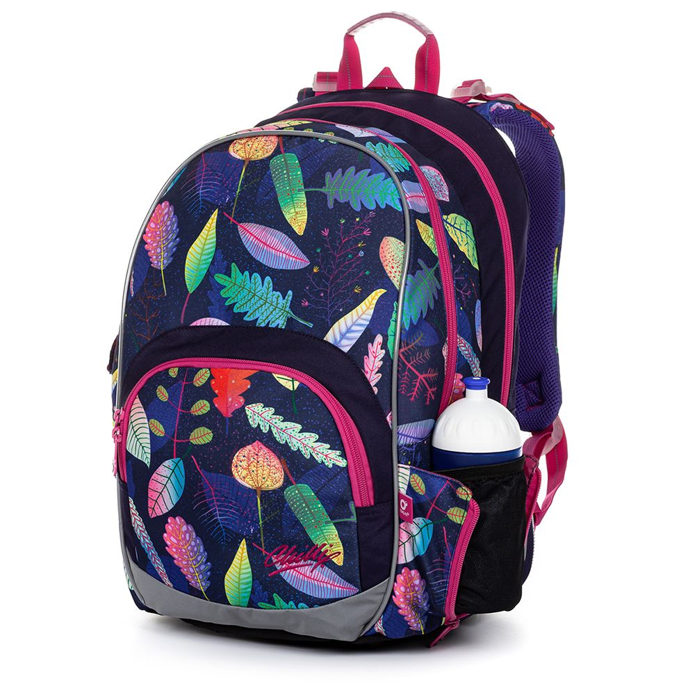 Анатомична ученическа раница, Пъстър свят