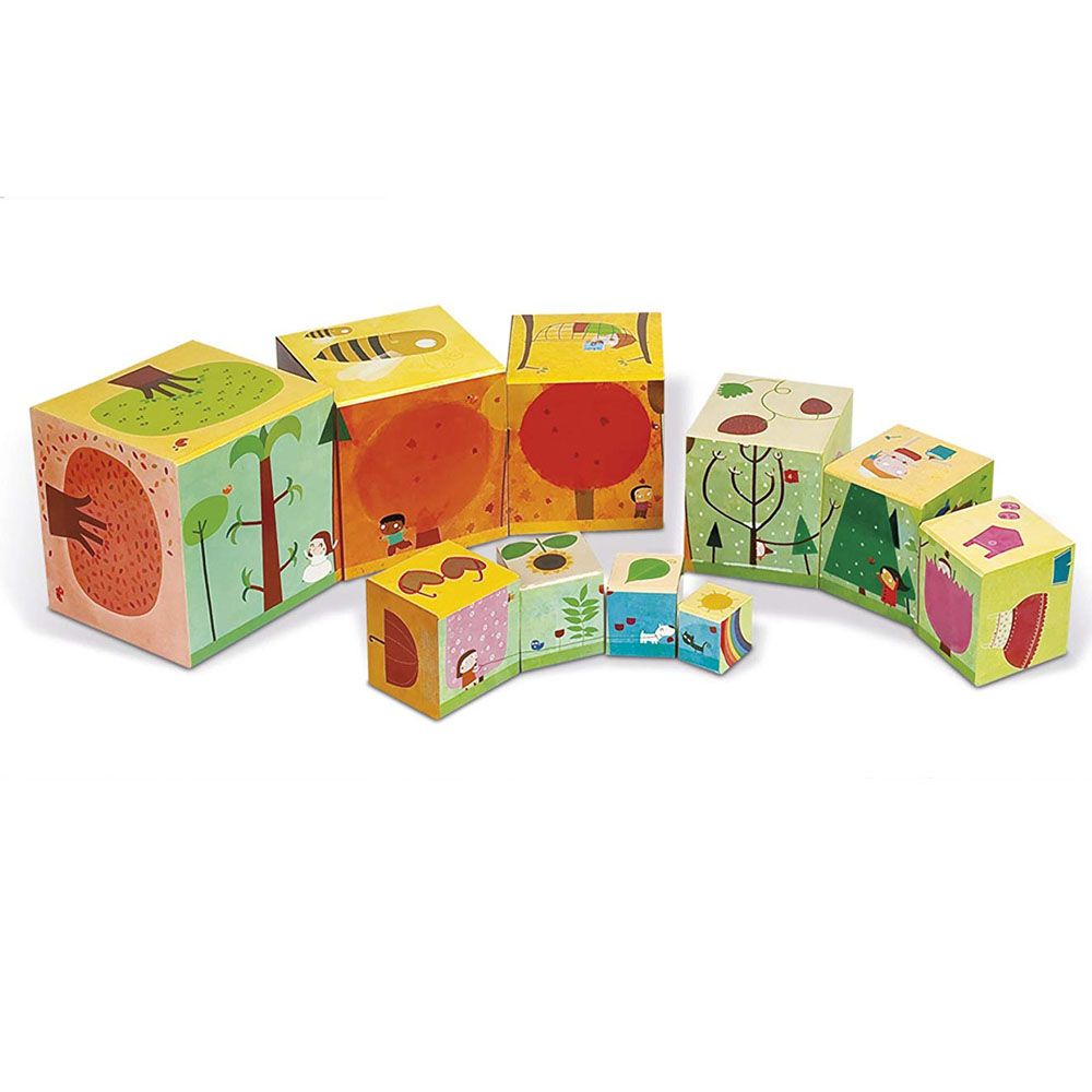 Картонени кубчета, Сезони