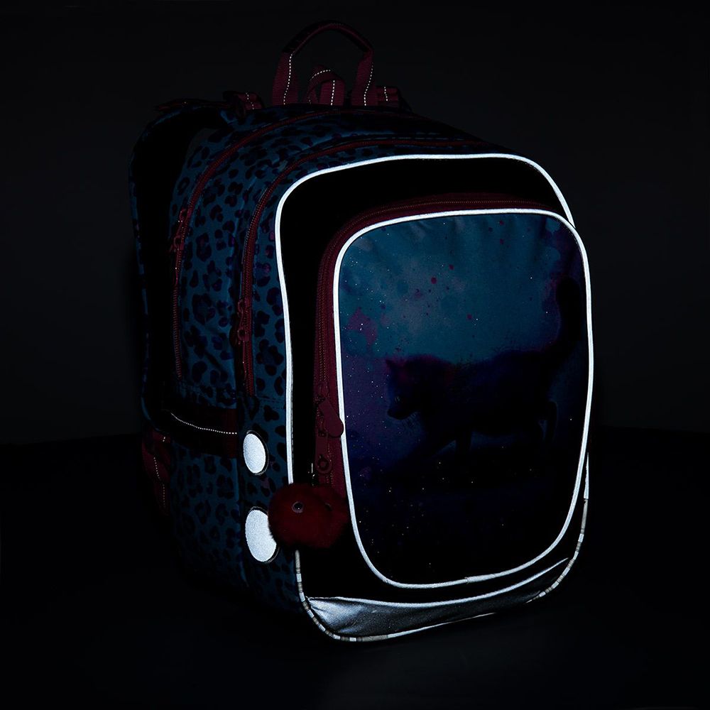 Анатомична ученическа раница, Звездно коте