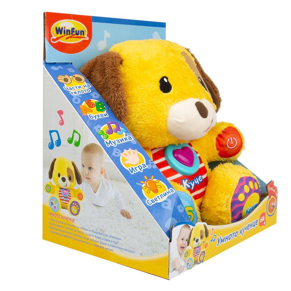 Интерактивно умно куче, Пол, Учи с мен