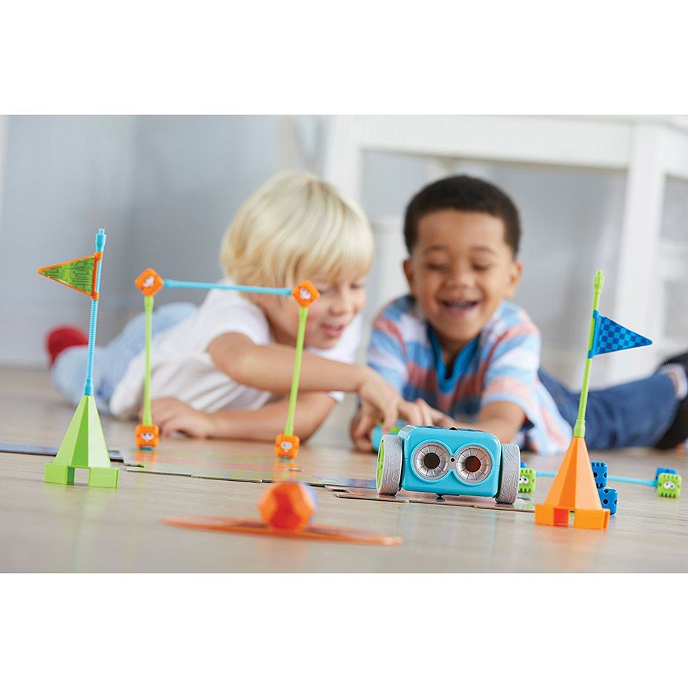 Робот за програмиране, Ботли