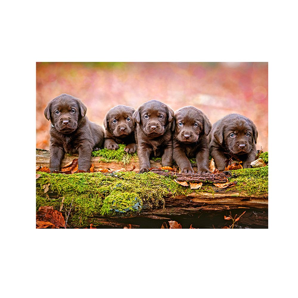 Пет малки кученца, пъзел 120 части