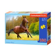 Есенен вятър, пъзел 180 части