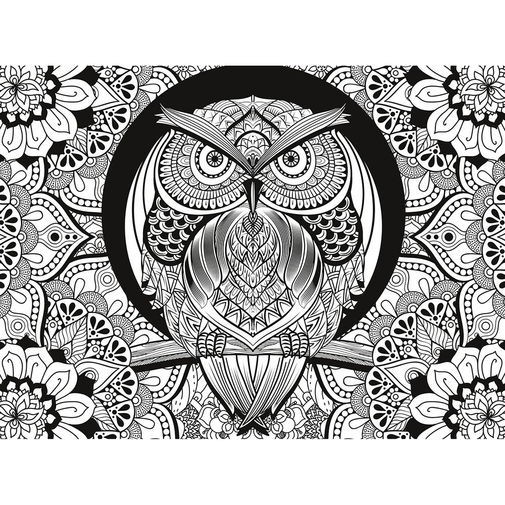 Бухал, 3Д пъзел за оцветяване 500 части