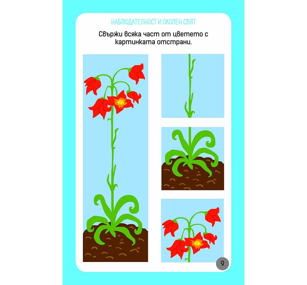 Активни карти, Още умни игри за най-малките