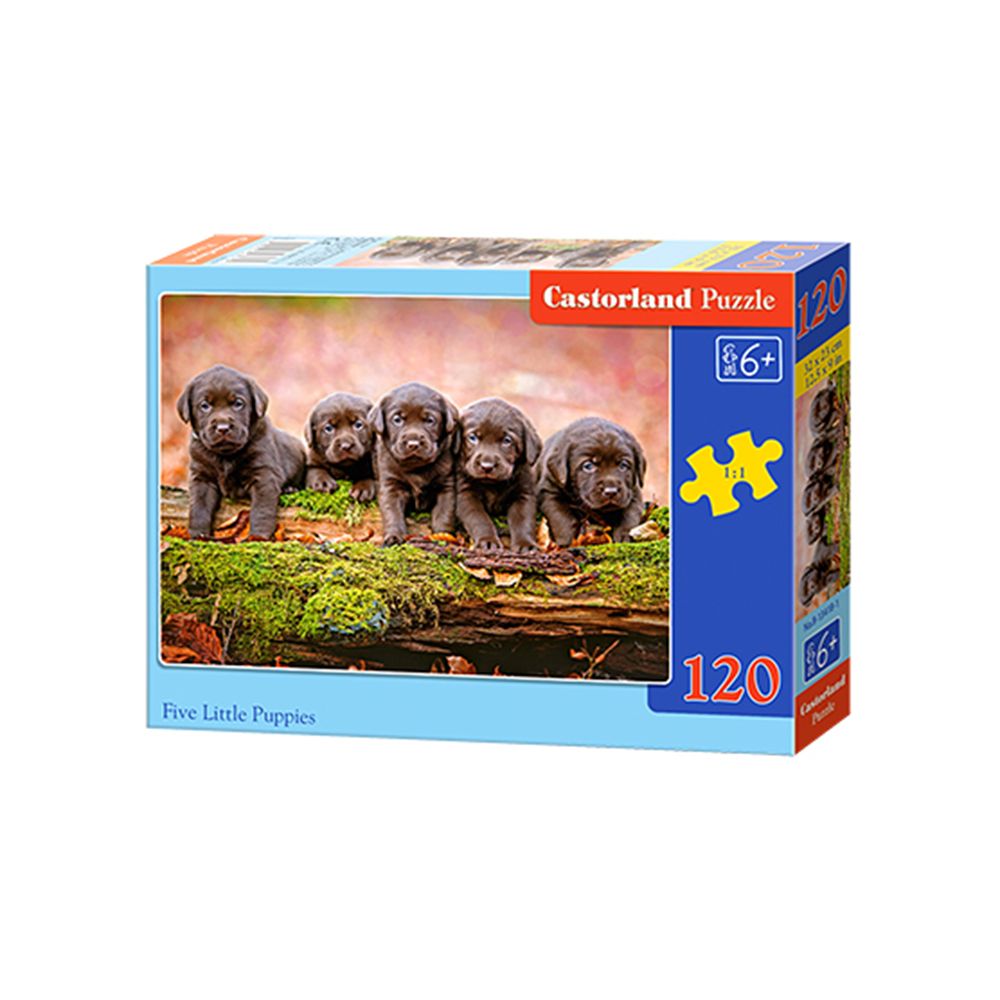 Castorland, Пет малки кученца, пъзел 120 части