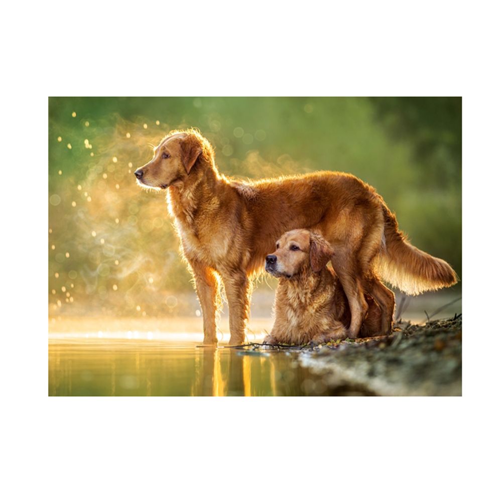 Приятели, пъзел 180 части