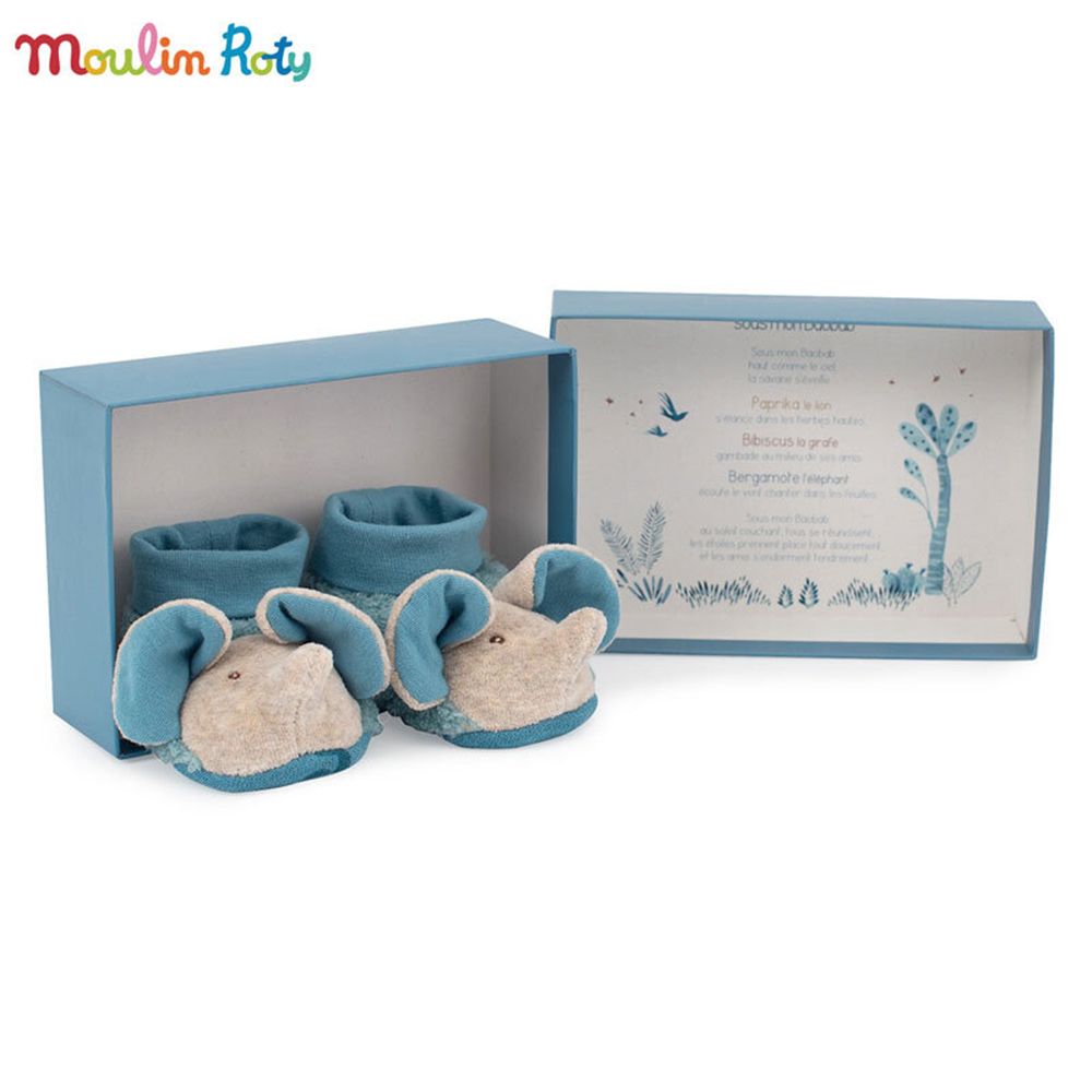 Бебешки пантофки, Слонче