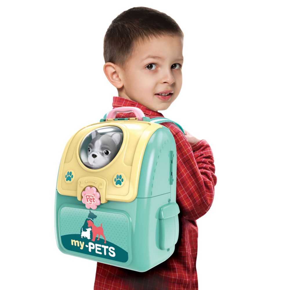 Коте, домашен любимец в раница