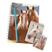 Комплект тефтерчета, ключодържател и молив, Кончета