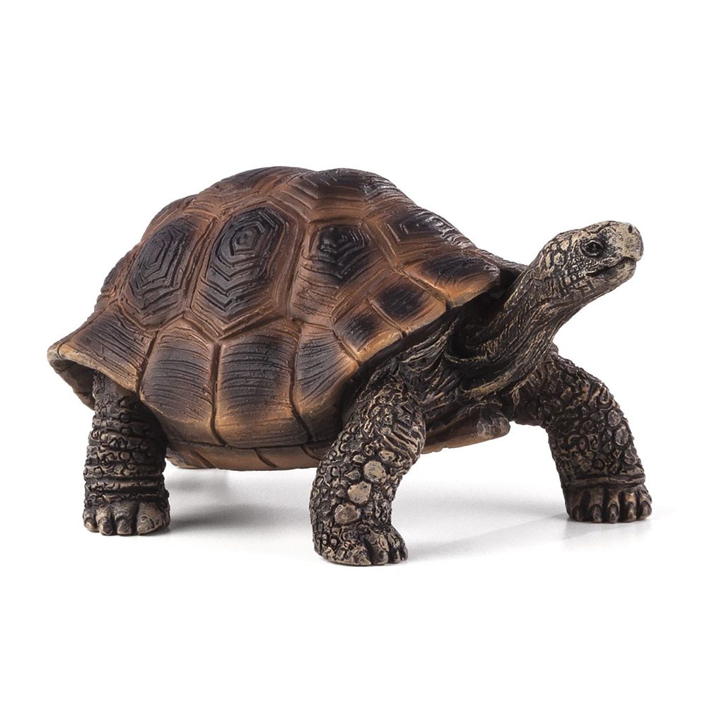 Mojo ANIMAL PLANET, Гигантска костенурка