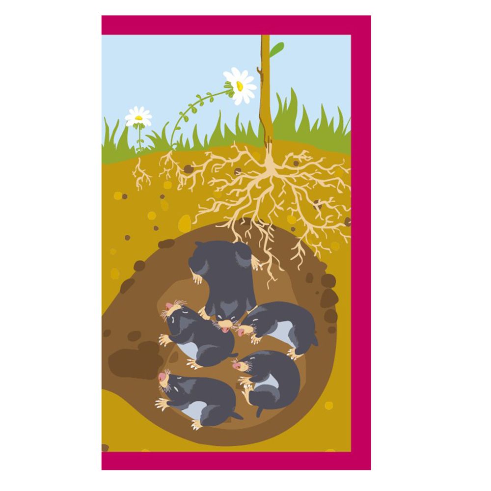 Активни карти, Къде живеят животните