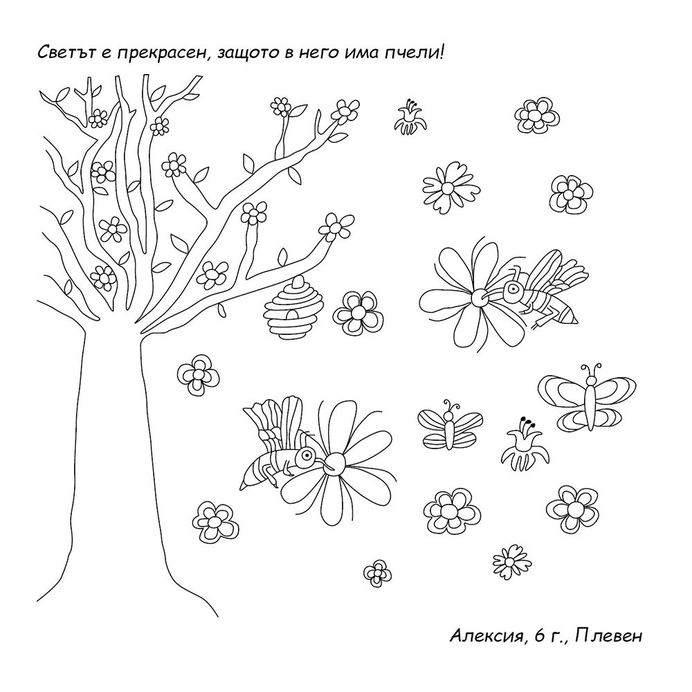 Книга за оцветяване, Светът е прекрасен, защото...