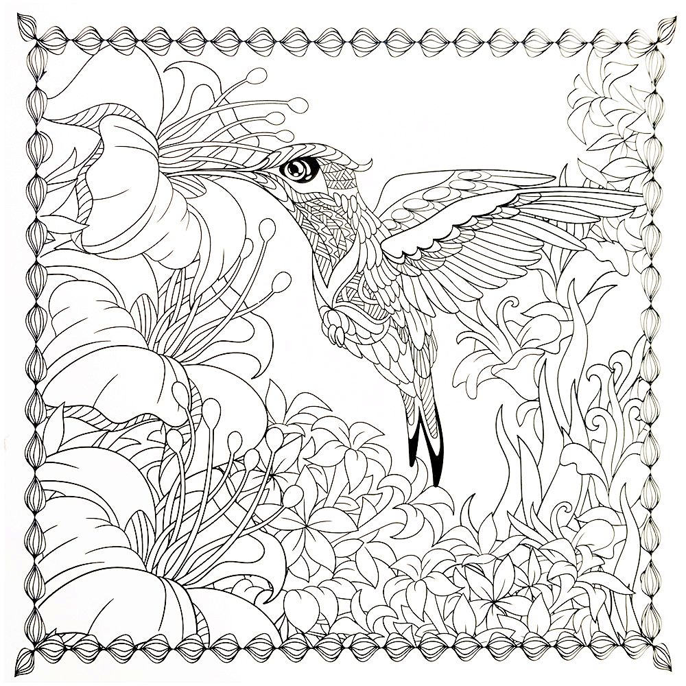 Антистрес книга, Оцветявай и релаксирай, Жираф