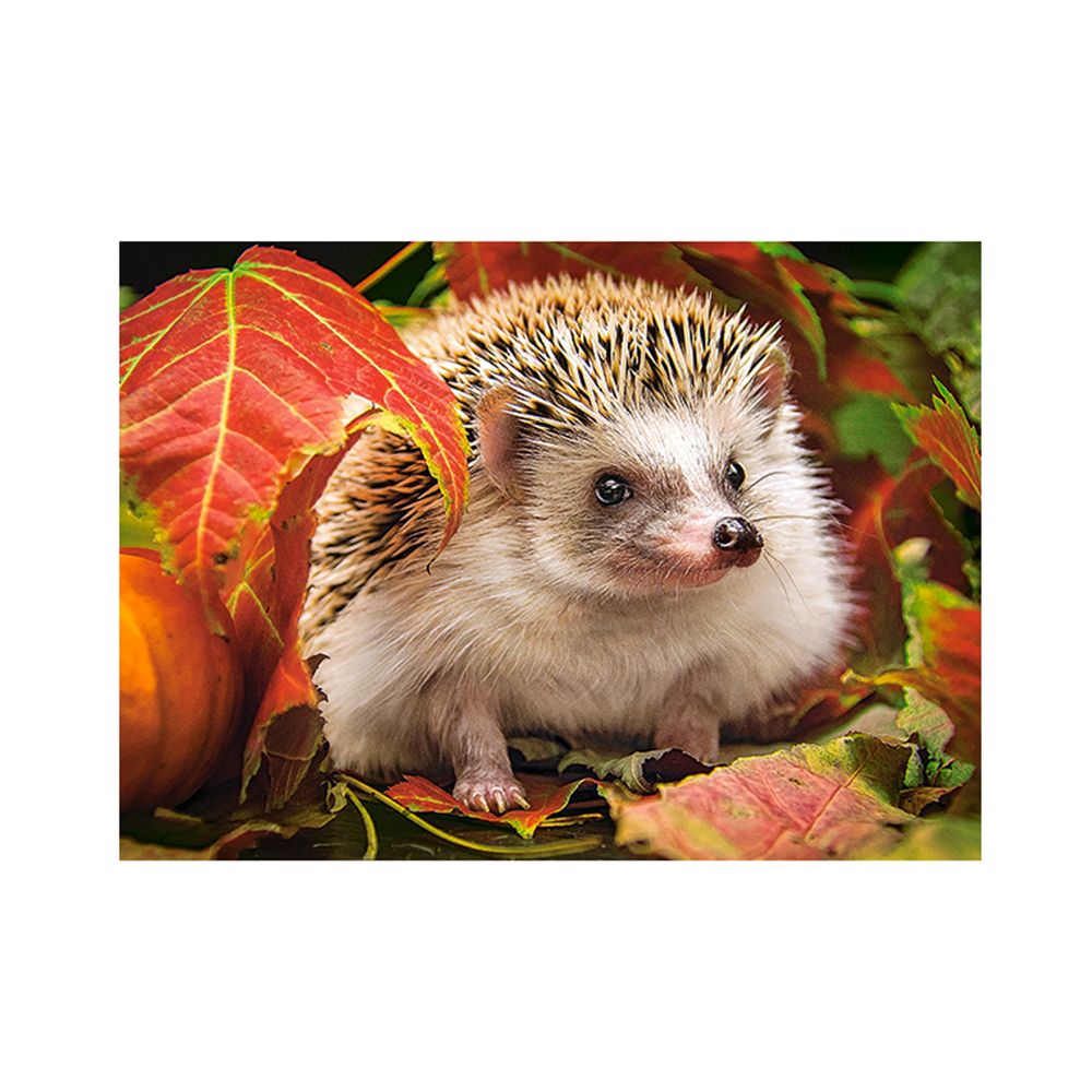 Таралежче  в есенна гора, пъзел 180 части