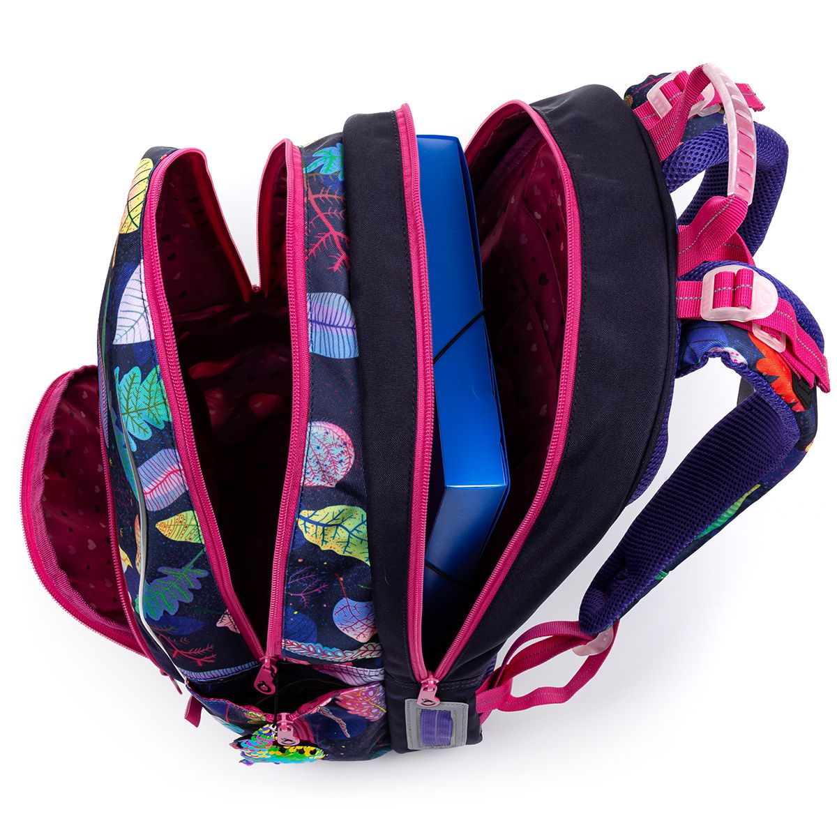 Анатомична ученическа раница, Пъстър свят