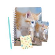 Забавен комплект с тефтерчета, Коте