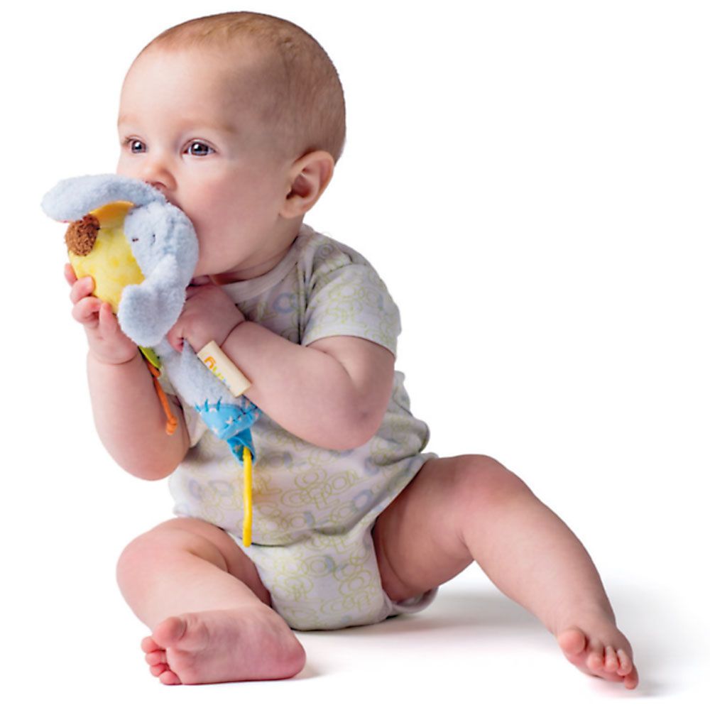 Бебешка писукаща играчка, Кученцето Ипо