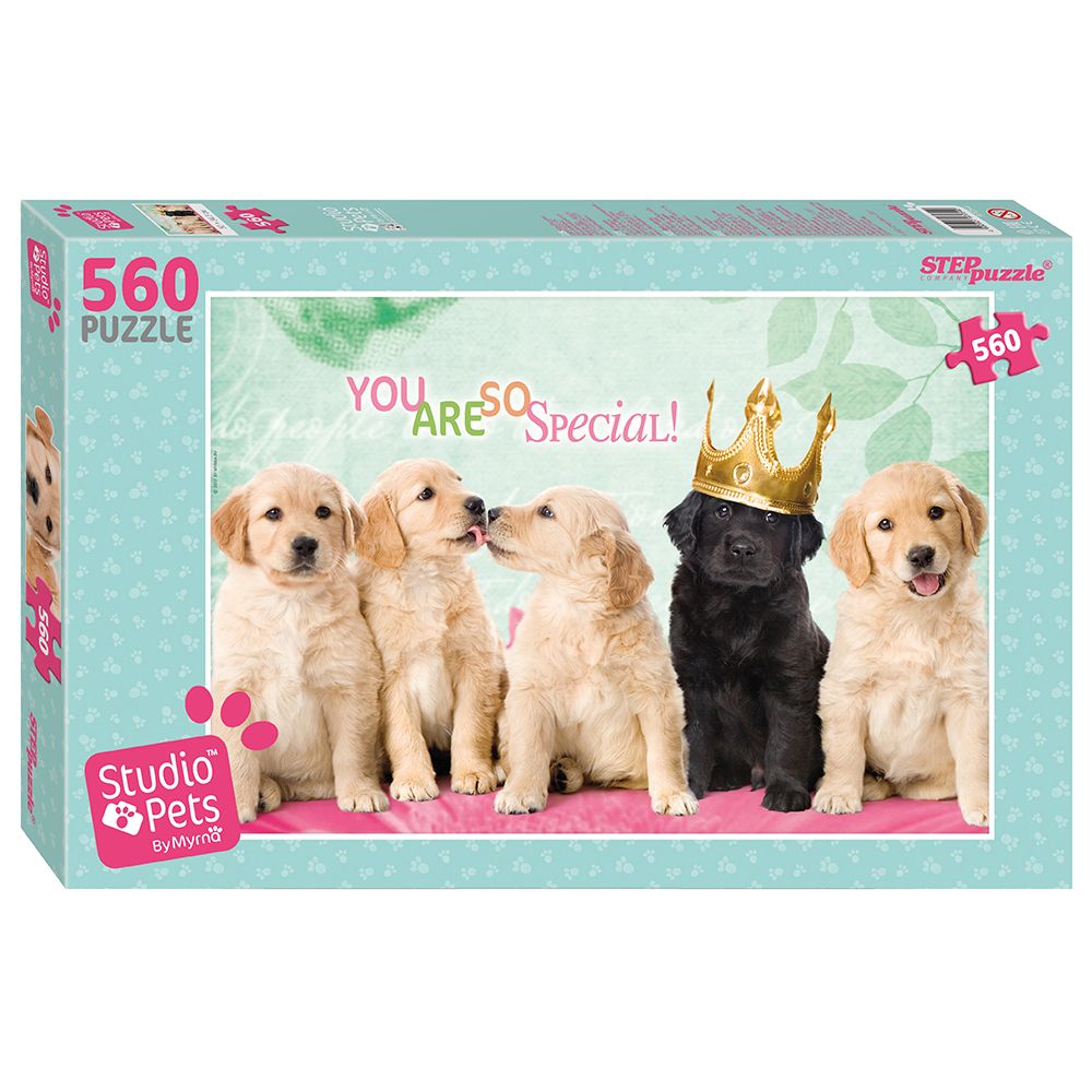 STEP Puzzle, Специален, пъзел 560 елемента