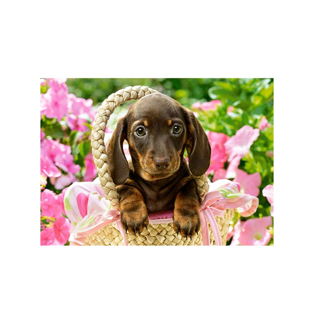 Сладко дакелче, пъзел 260 части