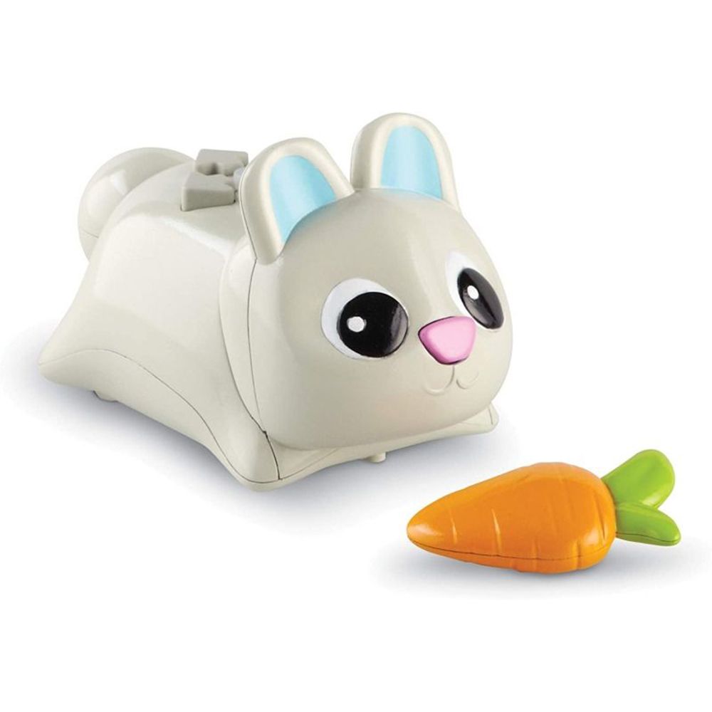 Зайчета за програмиране, Хип, Хоп и Бупър