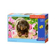 Сладко дакелче, пъзел 260 части