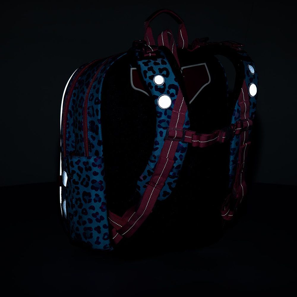 Анатомична ученическа раница, Звездно коте