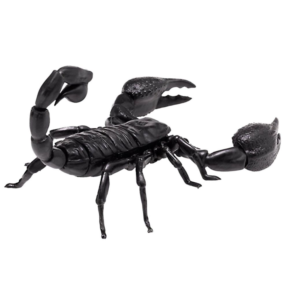 3D пъзел, Императорски скорпион, 20 части