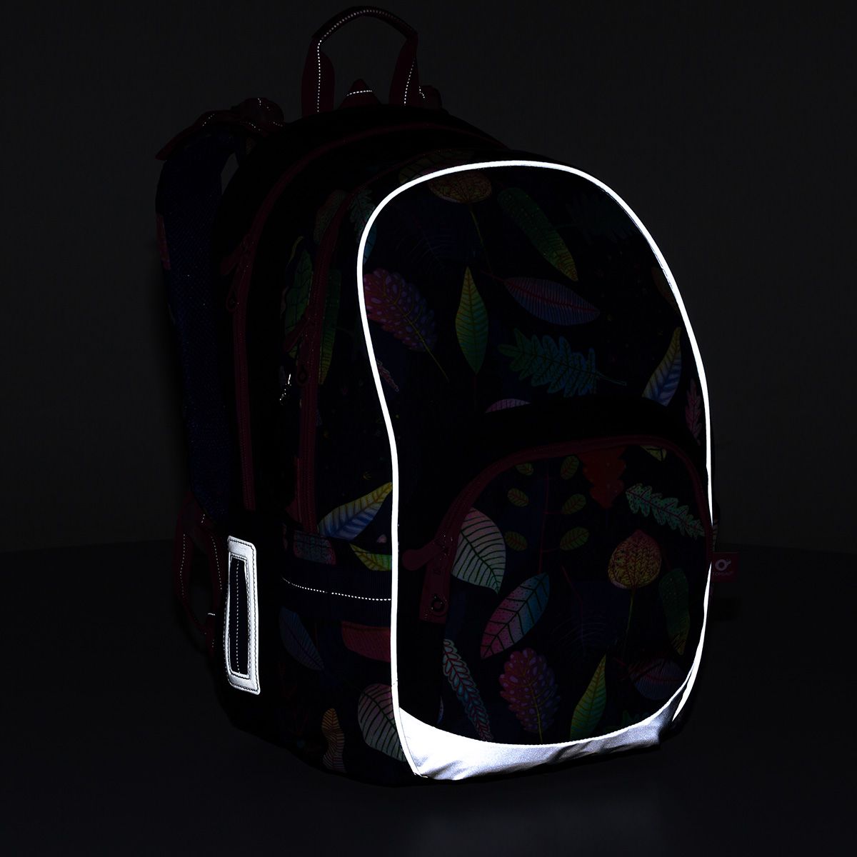 Анатомична ученическа раница, Пъстър свят