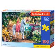 Тайната пътека, пъзел 100 части