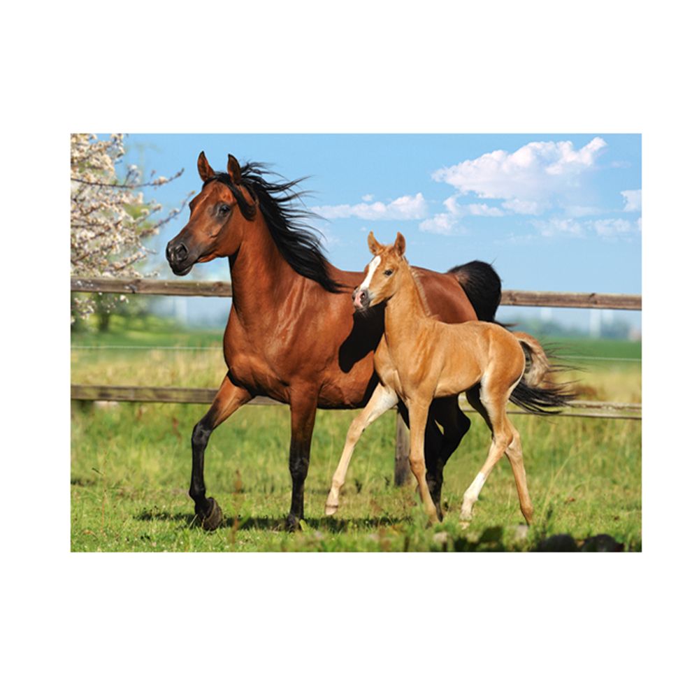 Мери и Фол, пъзел 260 части