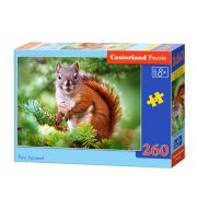 Катеричка в гората, пъзел 260 части