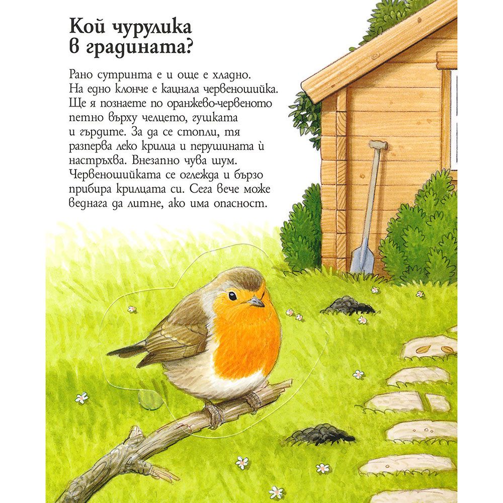 Кой живее в градината, Енциклопедия с капачета за най-малките