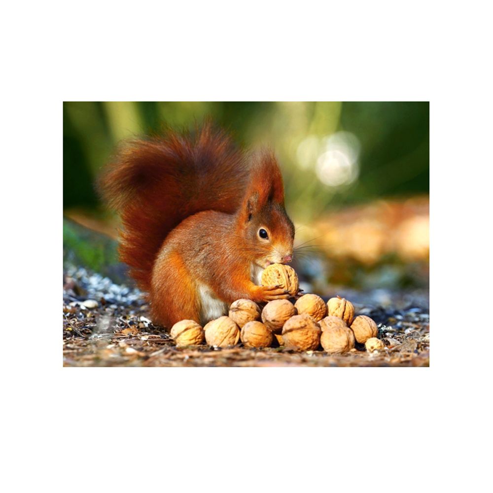 Катеричка в гората, пъзел 180 части