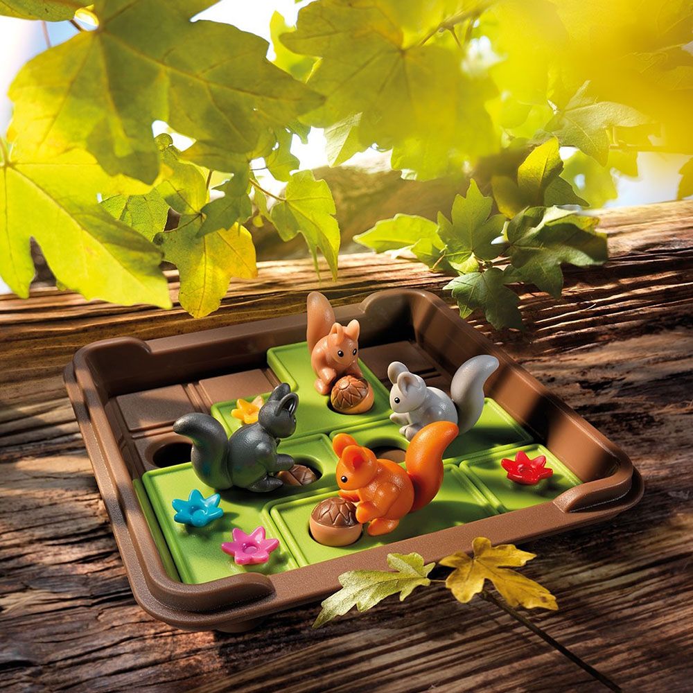 Логическа игра, На лов за жълъди