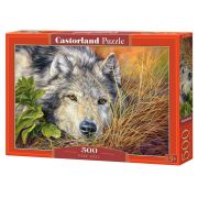 Чиста душа, пъзел 500 части