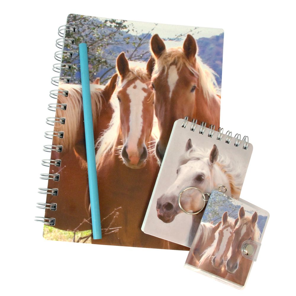 Sense, Комплект тефтерчета, ключодържател и молив, Кончета