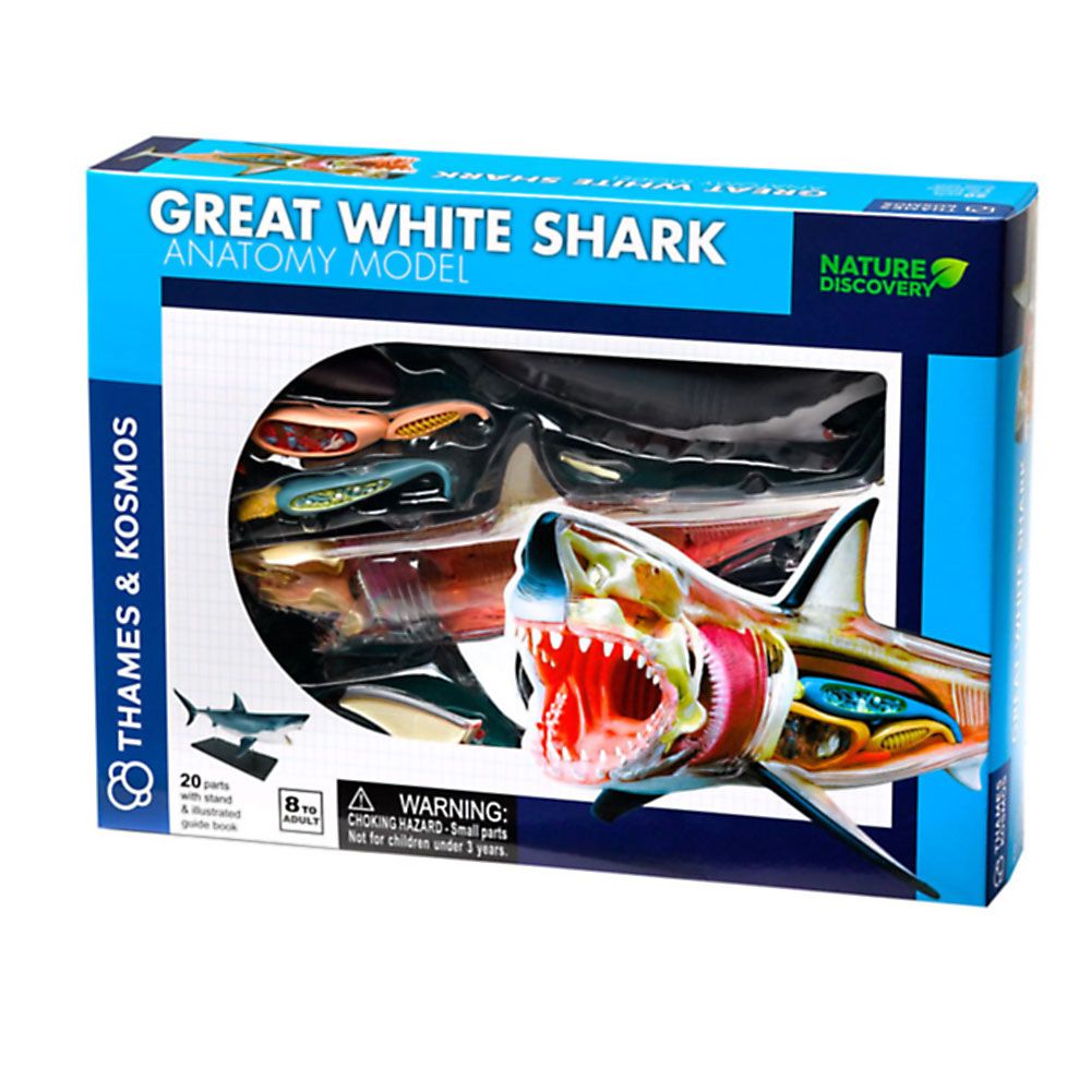 THAMES & KOSMOS, Голяма бяла акула, анатомичен модел