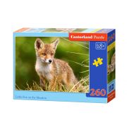 Лисиче в полето, пъзел 260 части