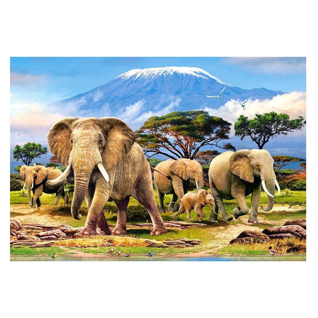 Сутрин в Килиманджаро, пъзел 1000 части