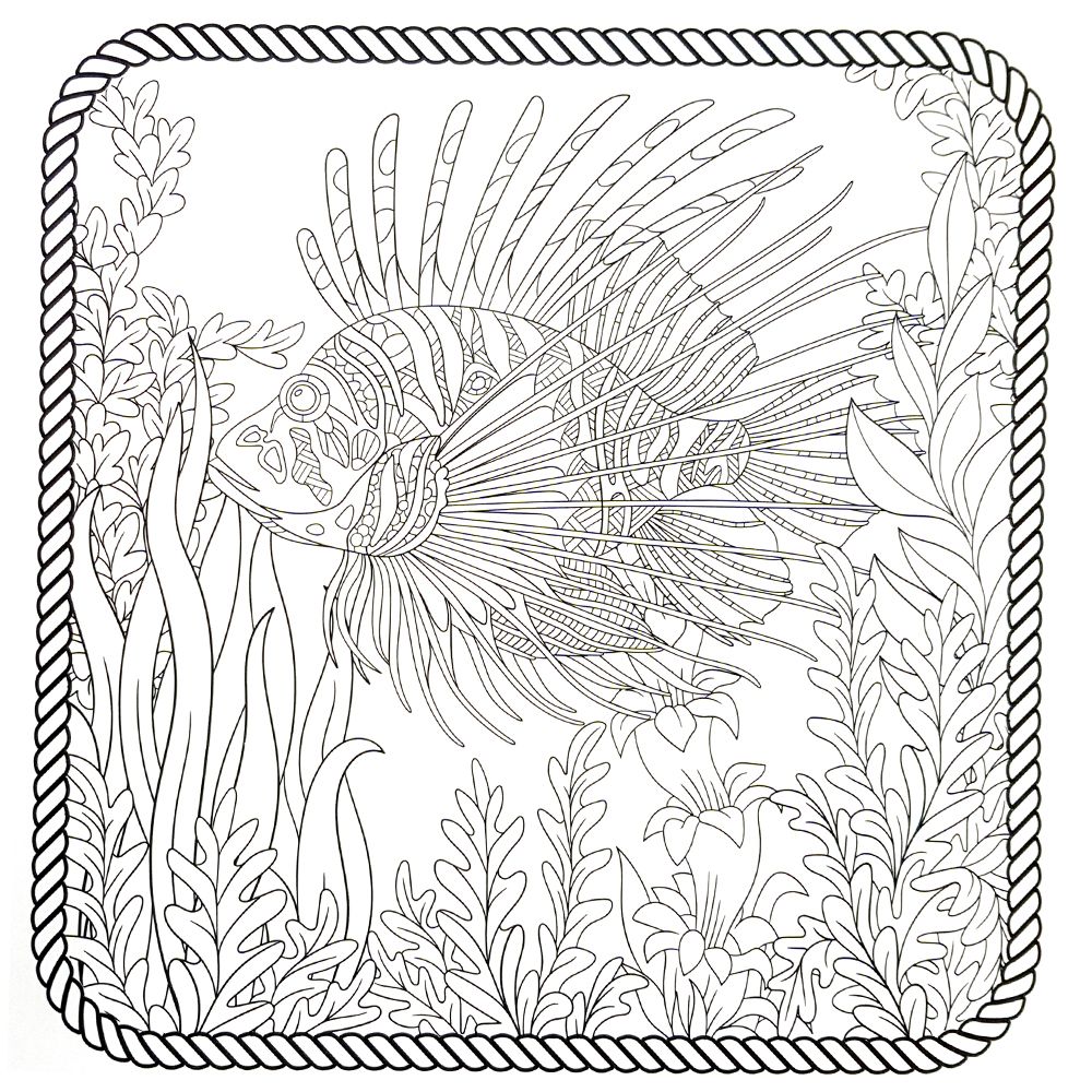 Антистрес книга, Оцветявай и релаксирай, Жираф