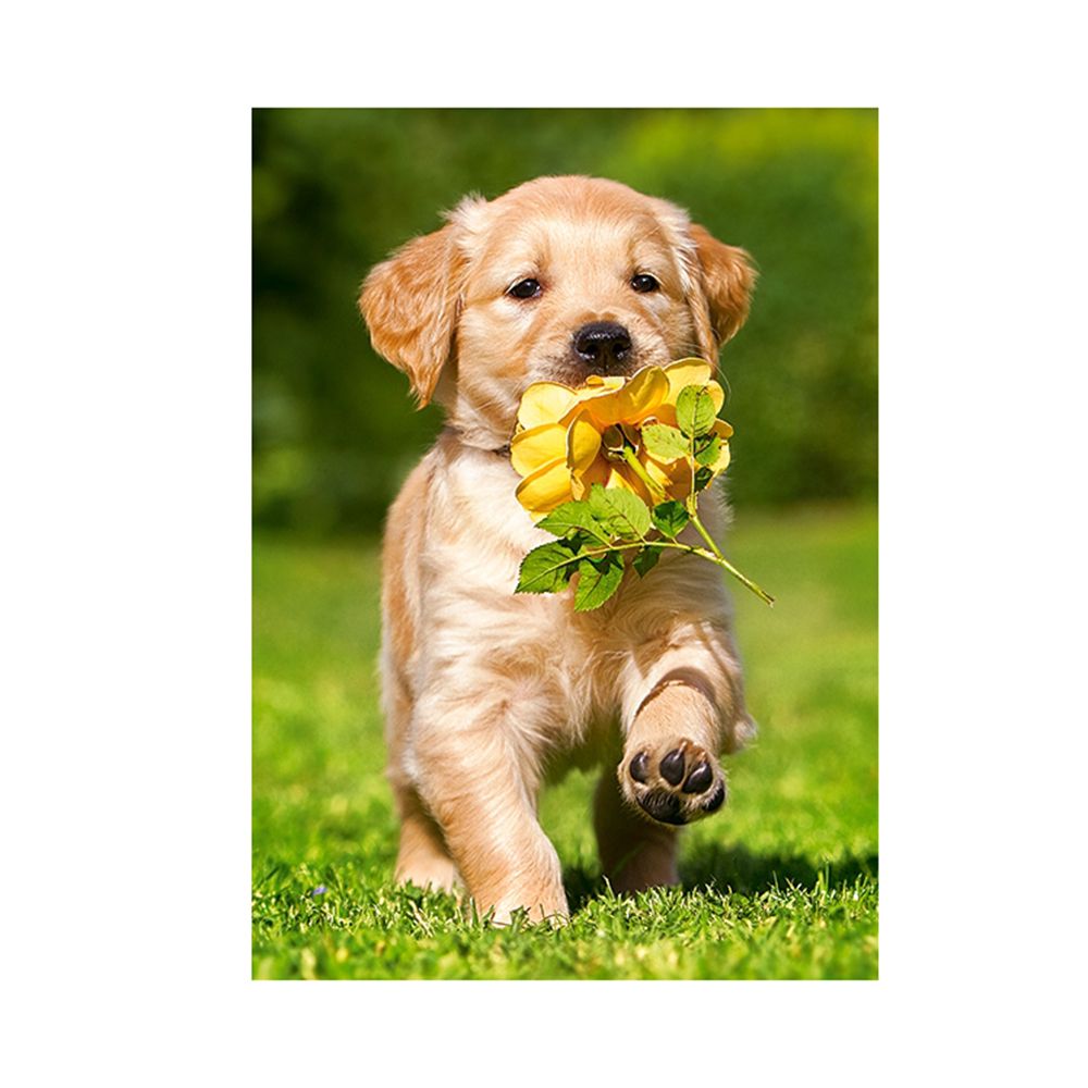 Кученце с роза, пъзел 60 части