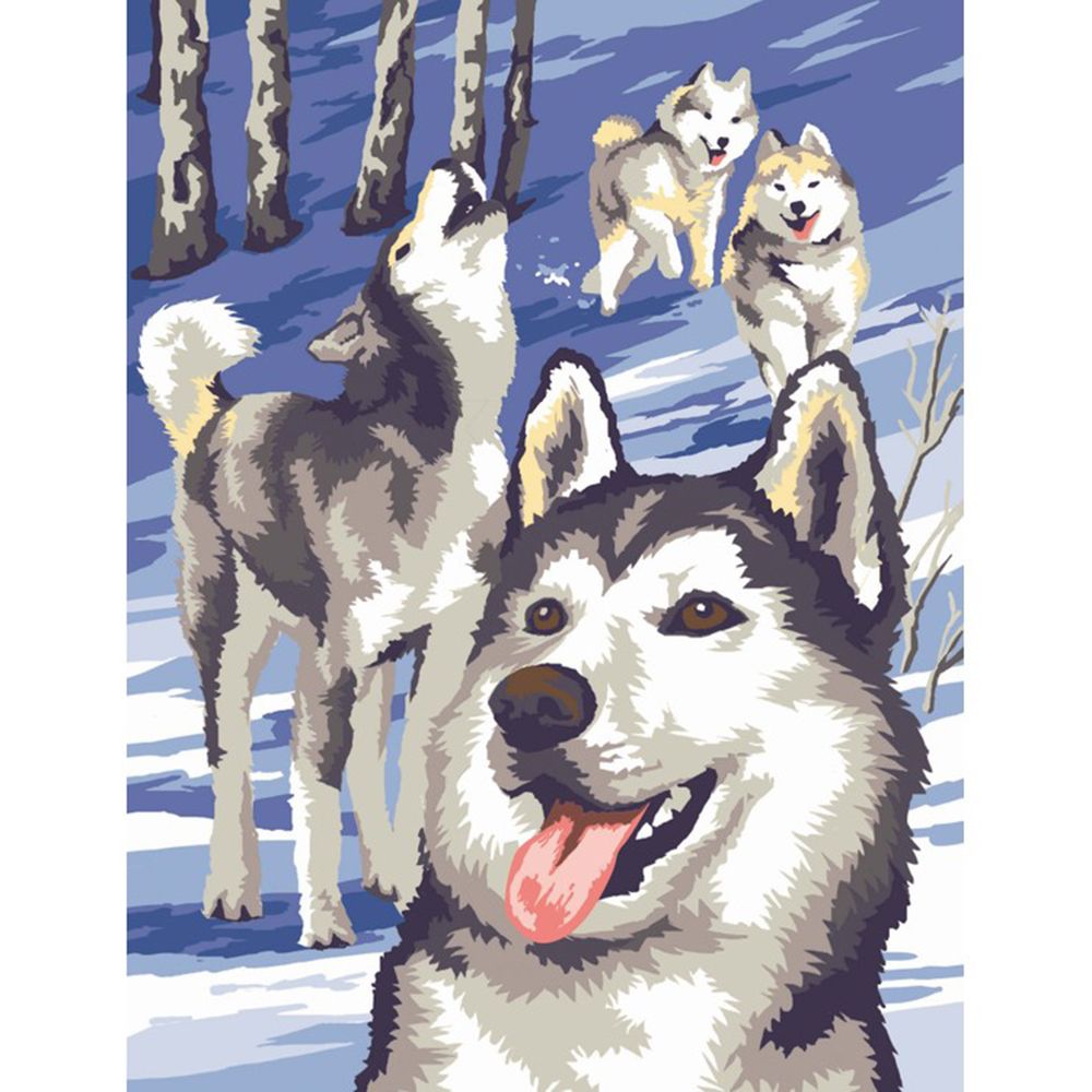 Рисуване по номера, две картини, Полярни мечки и Хъскита