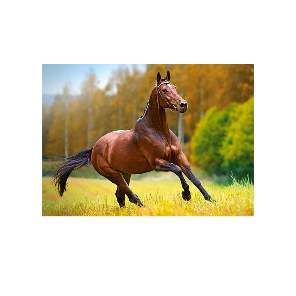 Есенен вятър, пъзел 180 части