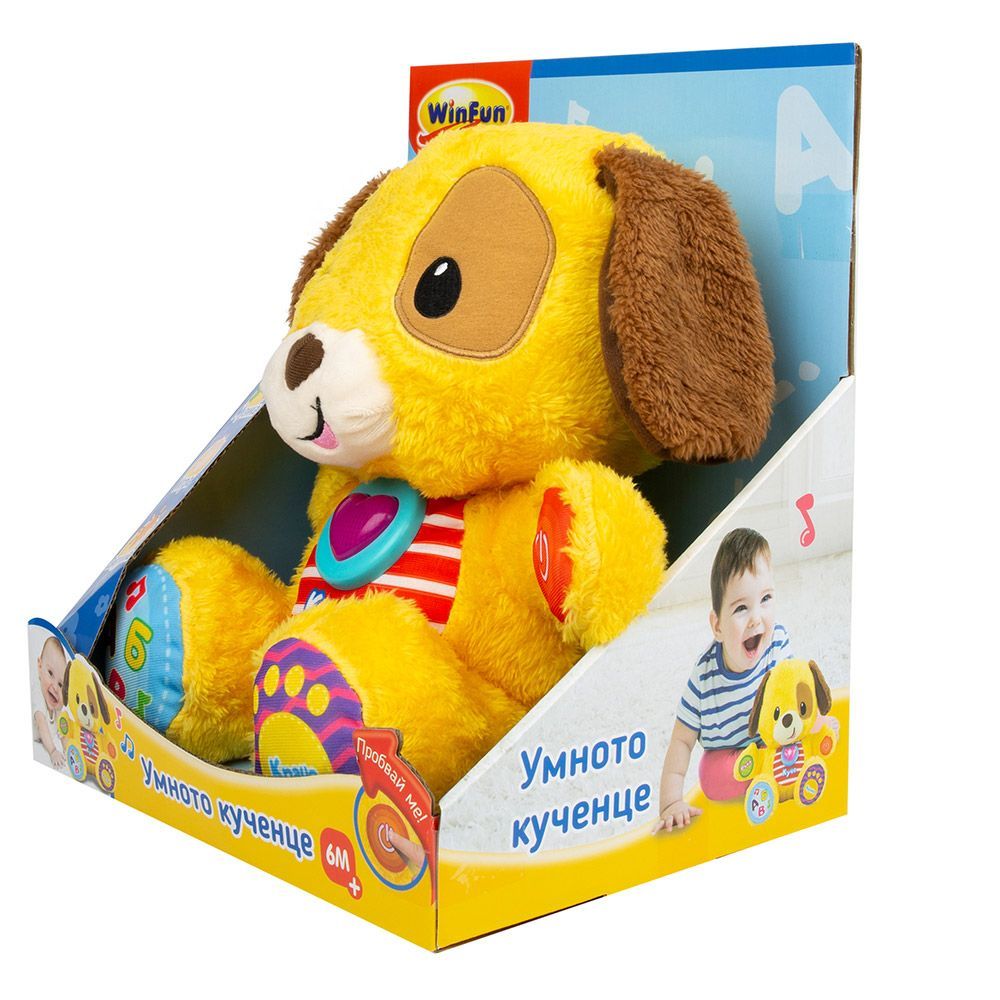 Интерактивно умно куче, Пол, Учи с мен