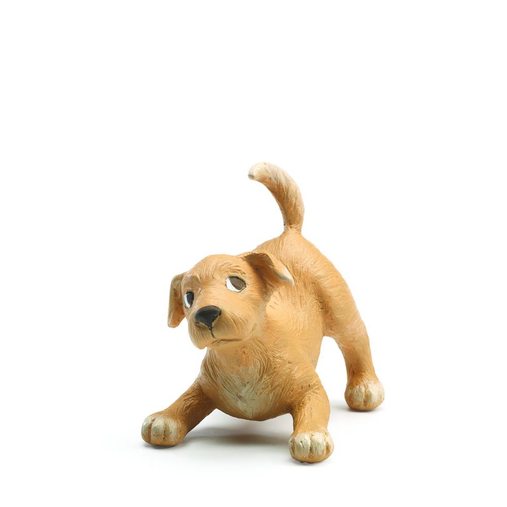 Домашни любимци, Кученца