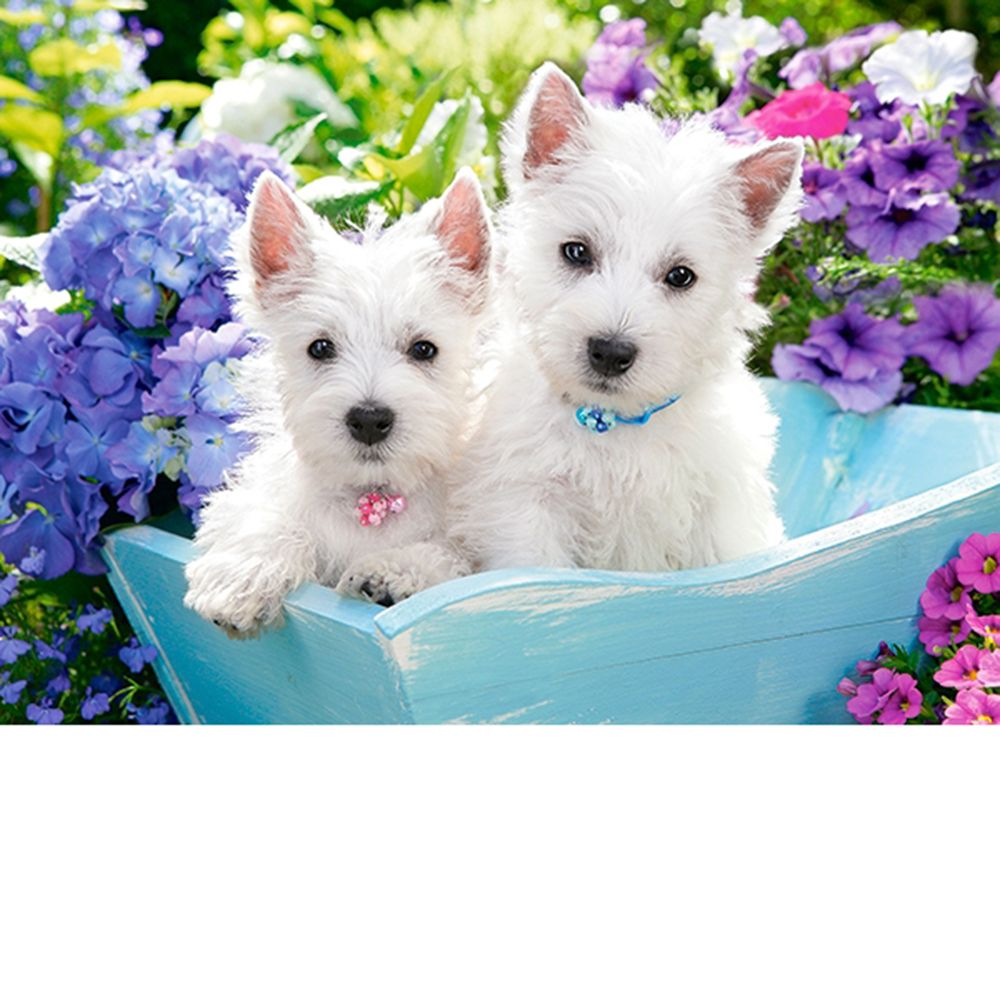 Кученца Уести, пъзел 200 части