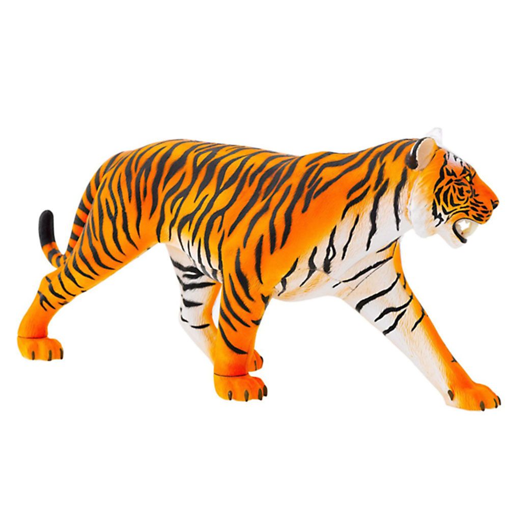 Тигър, анатомичен модел